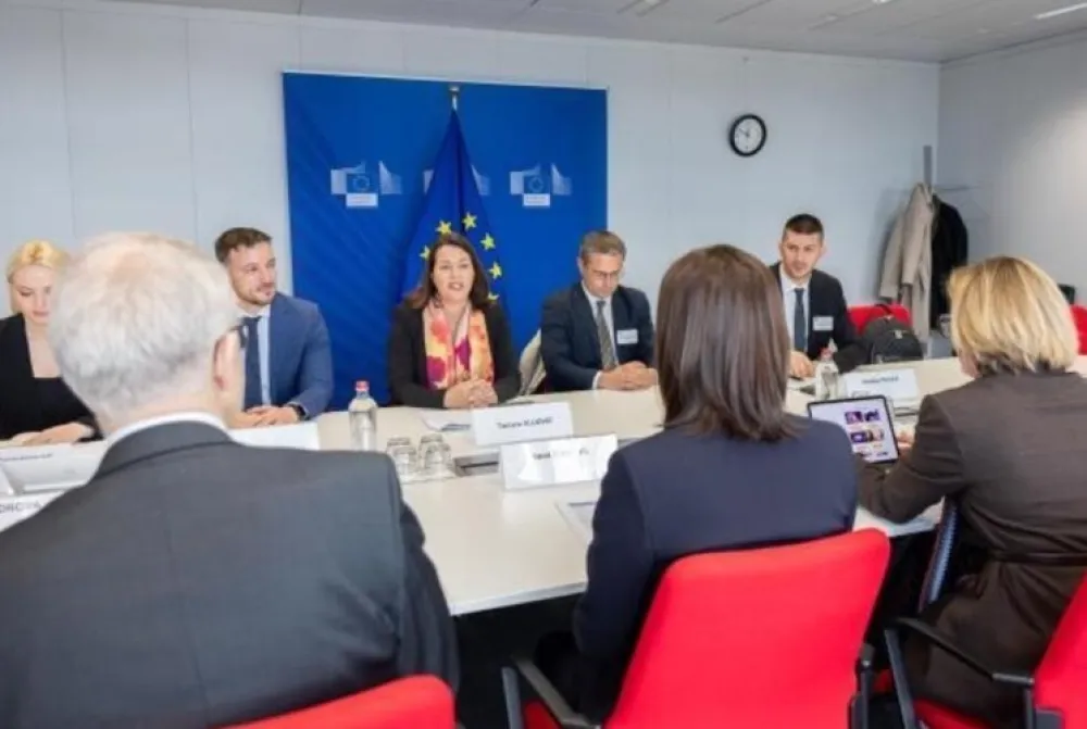 Tamara Vujović EU