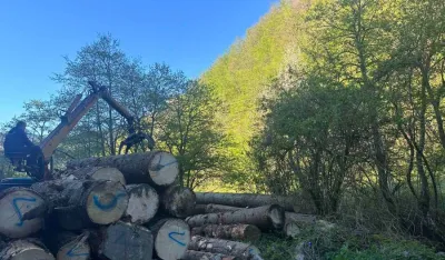 Zaplijenjeni trupci na Jelovici
