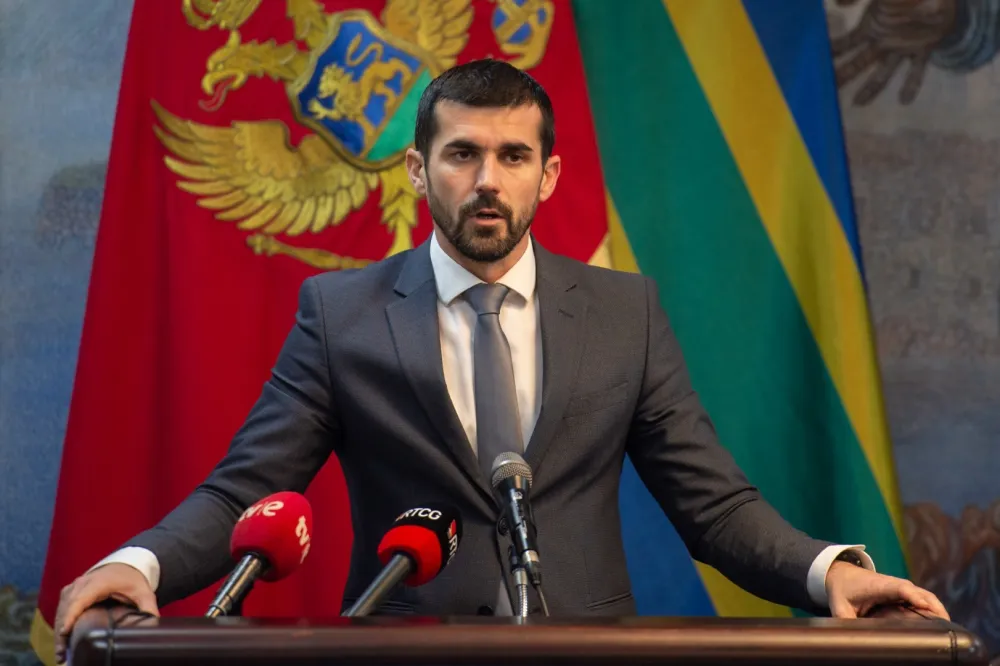 (VIDEO) Nenezić: Crnu Goru u EU ne vodi ono &scaron;to je viđeno u prethodne četiri godine