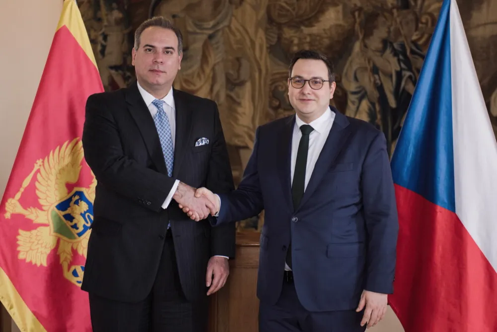 Ivanović u Če&scaron;koj sa Janom Lipavskim