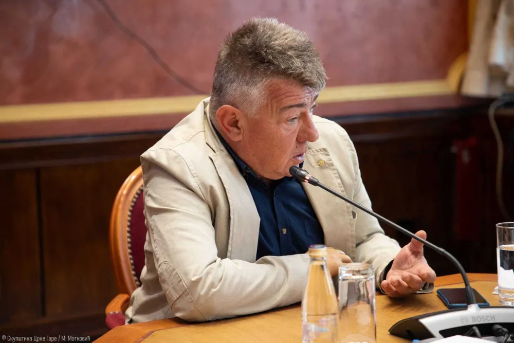Vukićević: Redovni sudovi često ne po&scaron;tuјu presude US
