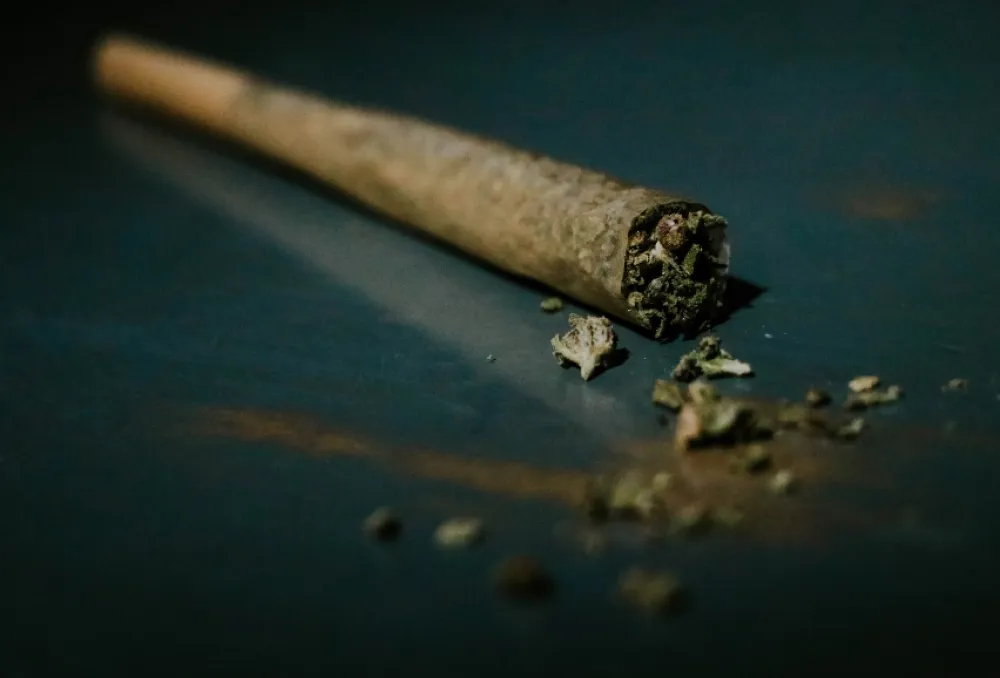 Nova studija: Marihuana popularnija od alkohola u SAD