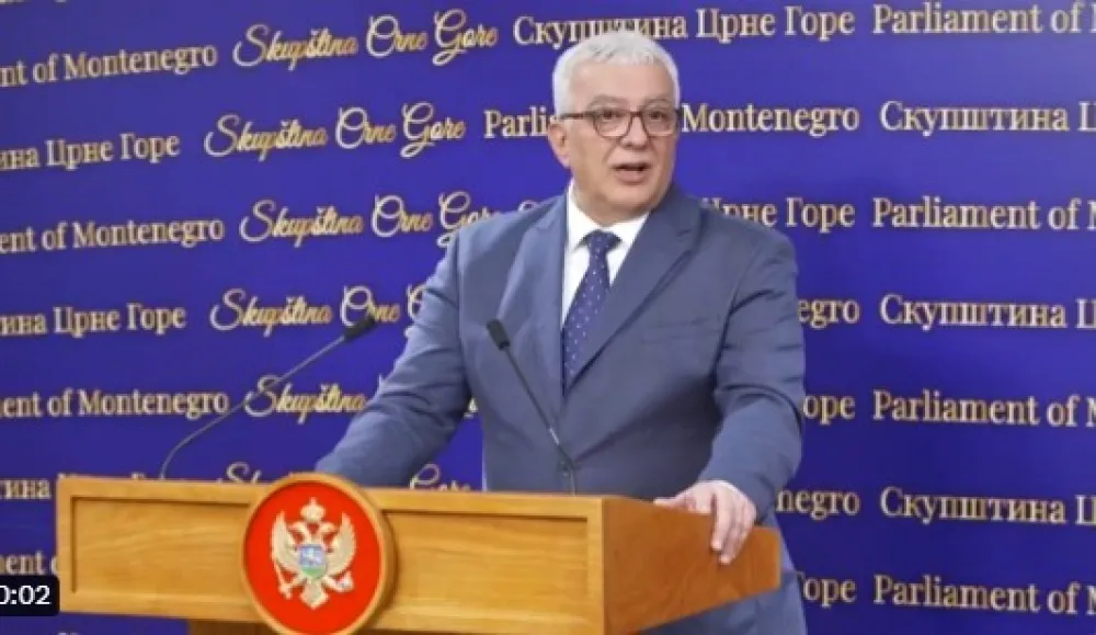 Mandić: Glasanjem za Rezoluciju Crna Gora unizila samu sebe