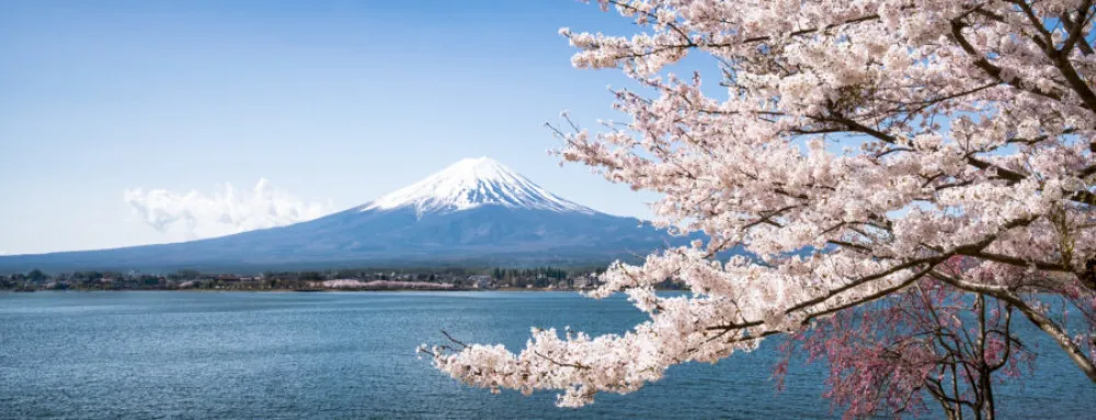 Japanci uvode ograničenja za turiste zbog lo&scaron;eg pona&scaron;anja