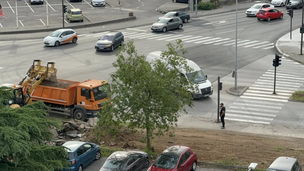 Duž Bulevara Stanka Radonjića zasadiće platane