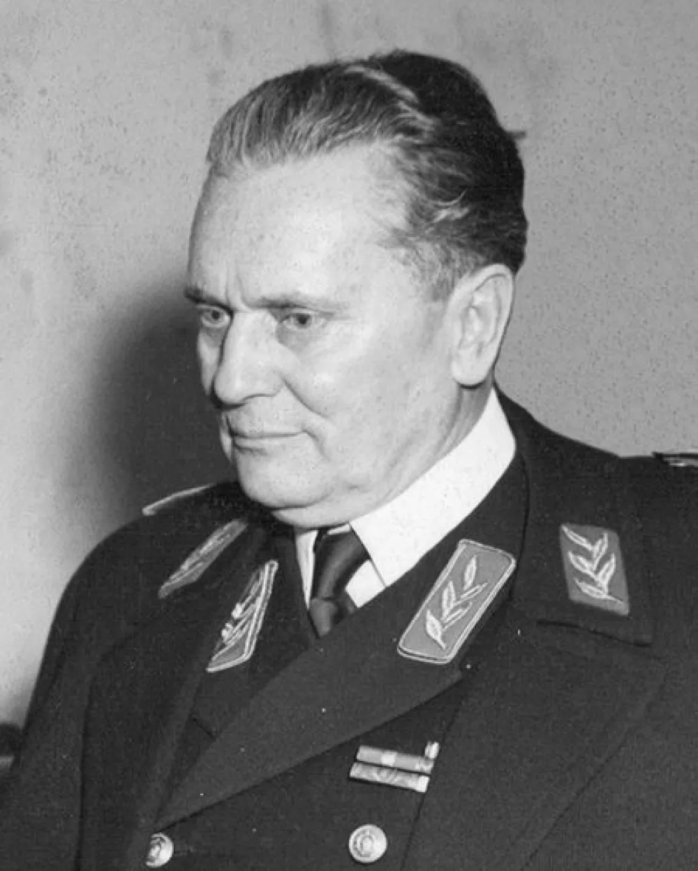 Struktura vlasti u Jugoslaviji od Teheranske konferencije do marta 1945. godine (7): Dimitrov uputio kritiku Titu