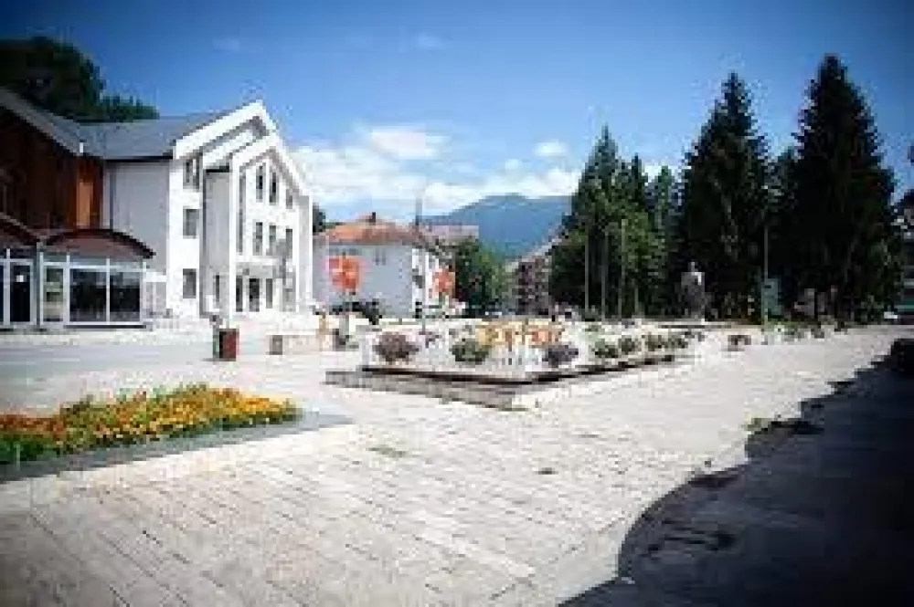 Op&scaron;tina Mojkovac