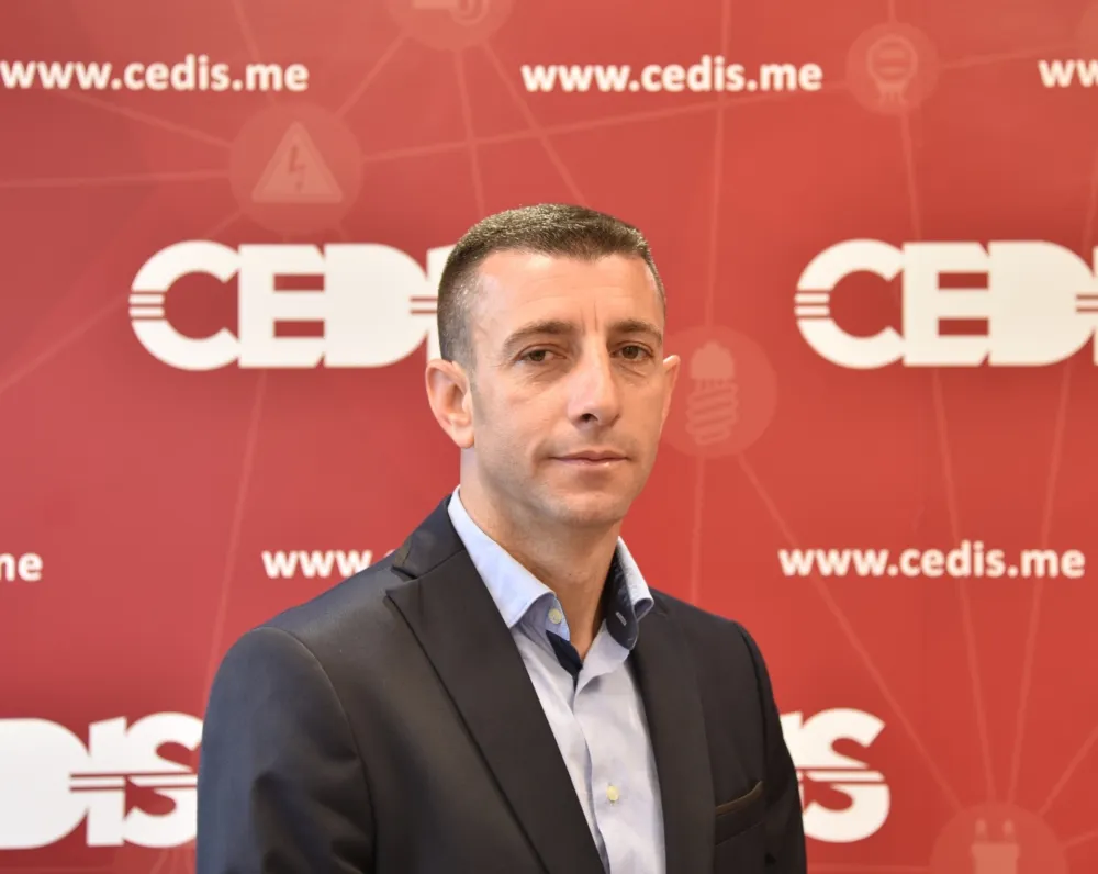 Vladimir Ivanović direktor CEDIS-a