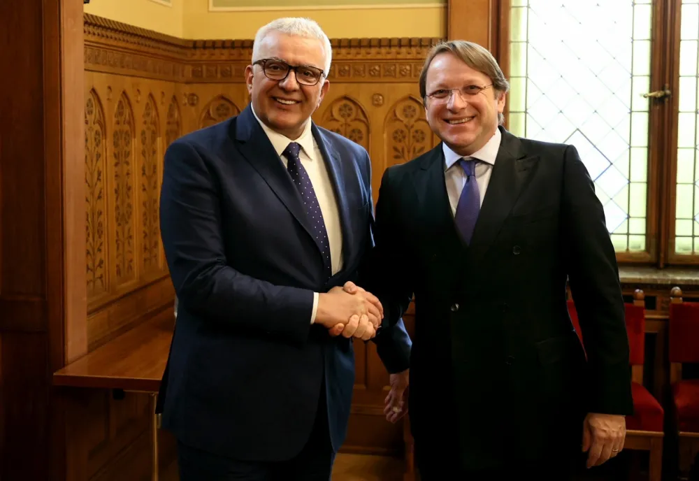 Mandić upoznao Varheljija da su usvojeni preostali IBAR zakoni