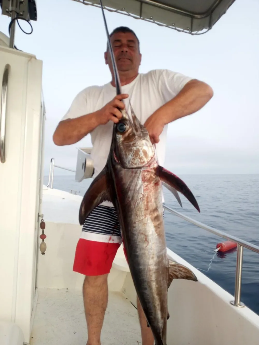 (FOTO) Ulovljena sabljarka od 20 kilograma kod Petrovca