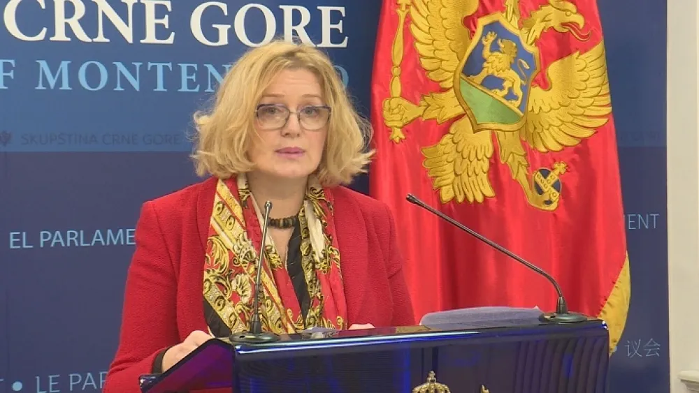 Bo&scaron;njak: Crna Gora je miljama daleko od vladavine prava i pravde