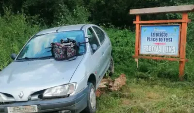 Pljevlja: Zbog gmizavca u vozilu žena sa vozilom zavr&scaron;ila pored puta