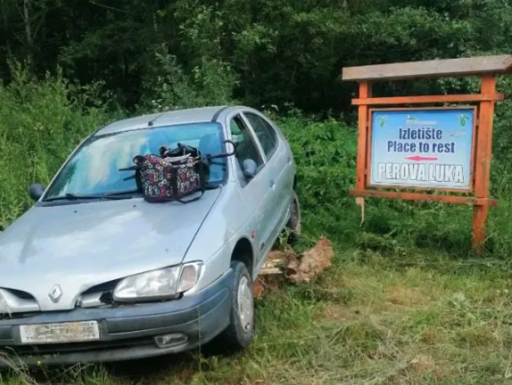Pljevlja: Zbog gmizavca u vozilu žena sa vozilom zavr&scaron;ila pored puta