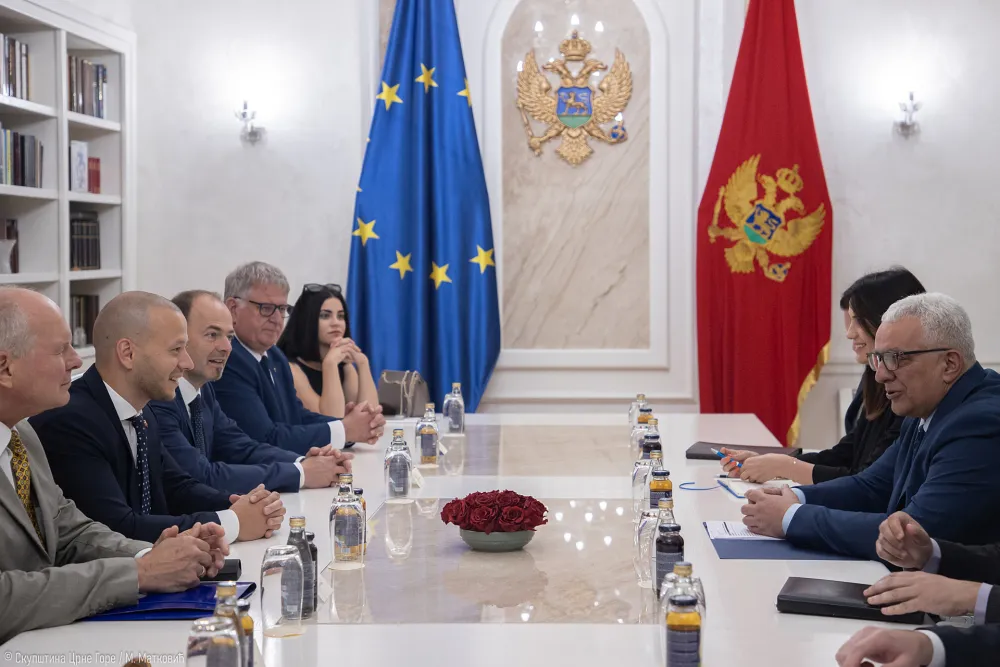Mandić: Ponosni smo &scaron;to sa parlamentom Austrije imamo važan projekat