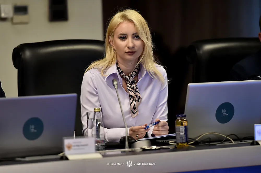 Gorčević: Do oktobra do deset poglavlja da bude spremno za zatvaranje