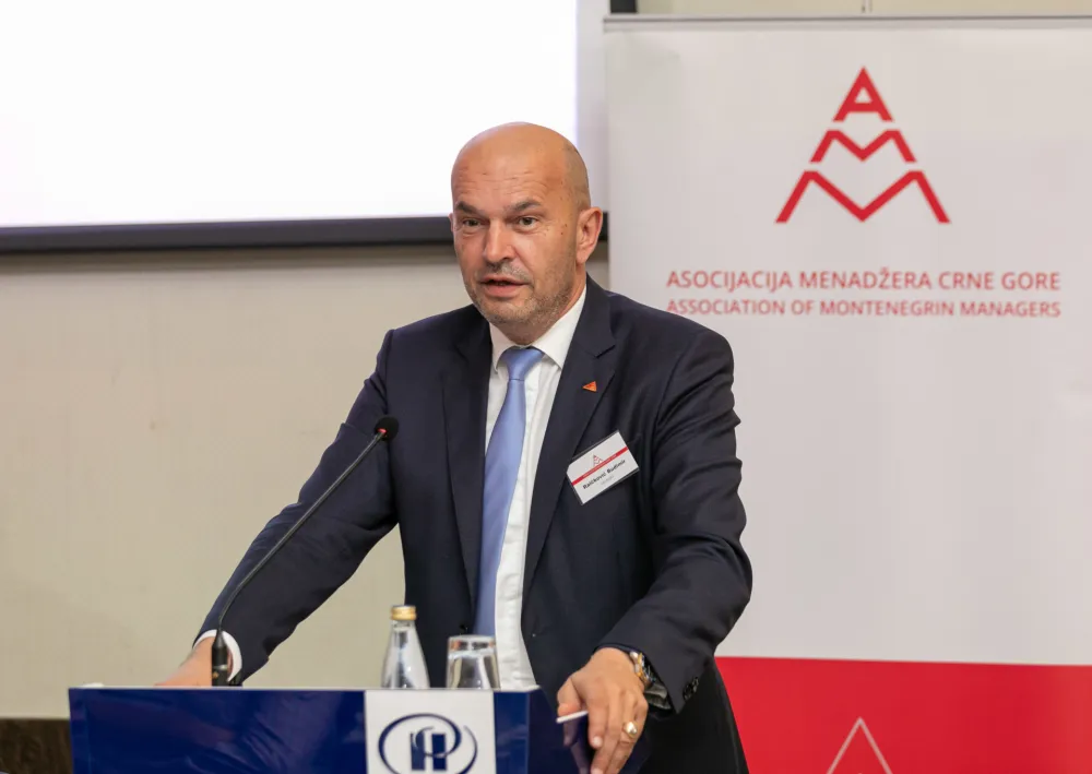 Budimir Raičković na čelu AMM