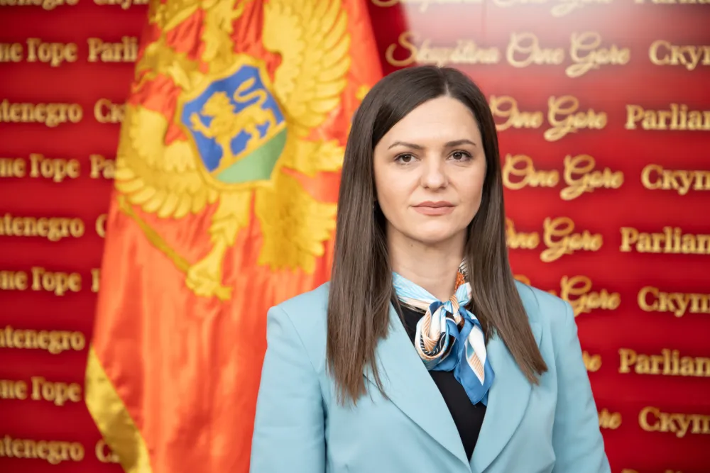 Andrić:&nbsp;DPS od predsjednika Odbora Bo&scaron;njačke stranke Bijelo Polje napravio marionetu