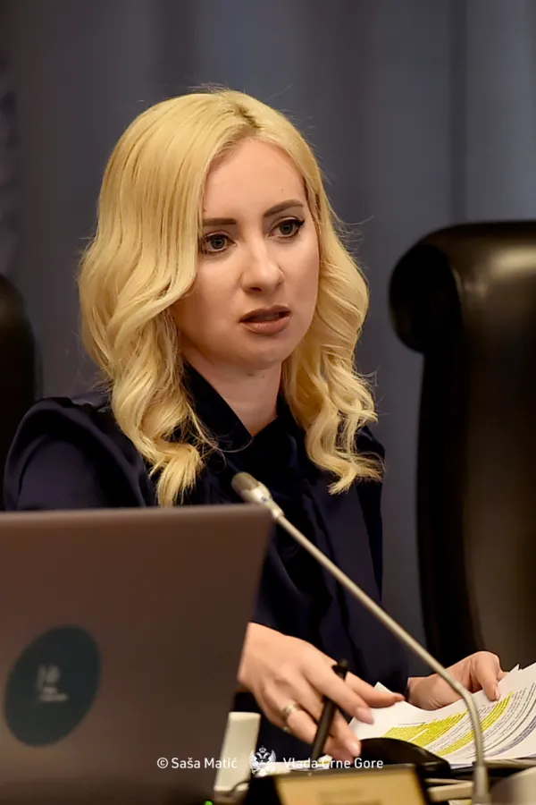 Gorčević: Izmjene u Deklaraciji evropskog savjeta ne umanjuju činjenicu da smo dobili IBAR