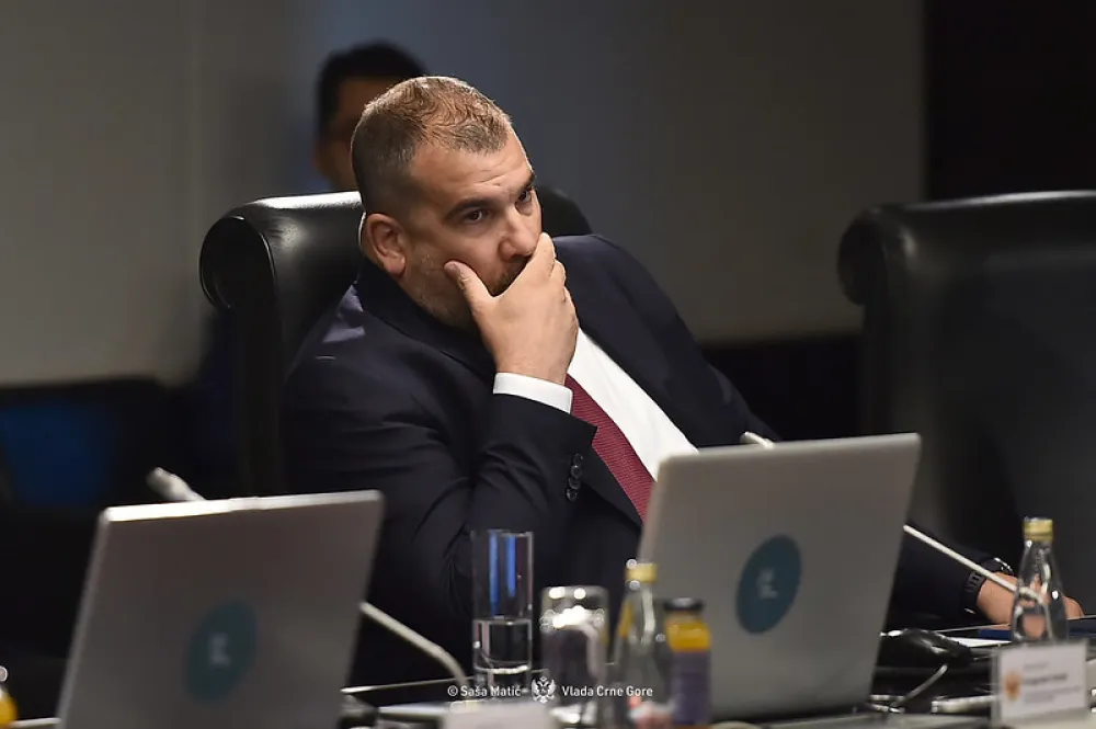 Krapović: Usvajanje rezolucije nije usmjereno prema Hrvatskoj, ne vjerujuem da je Mi&scaron;el zbog toga otkazao posjetu