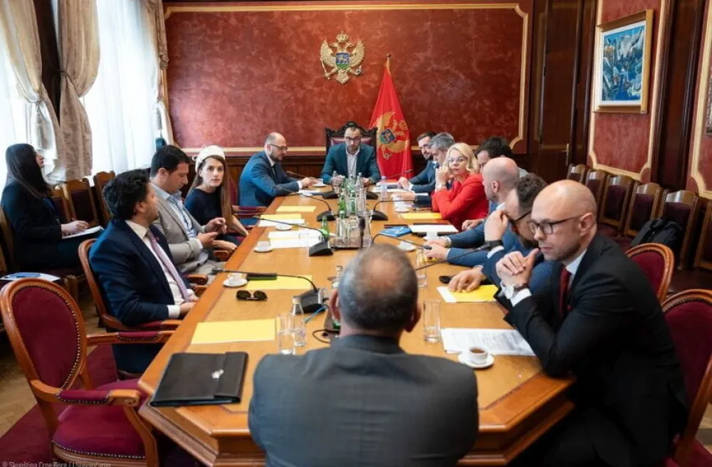 Odbor dao pozitivno mi&scaron;ljenje: Branko Bulatović za ambasadora u Pekingu, Đorđe Radulović pri misiji OEBS-a