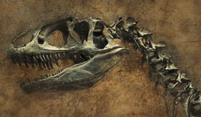 Fosil dinosaurusa