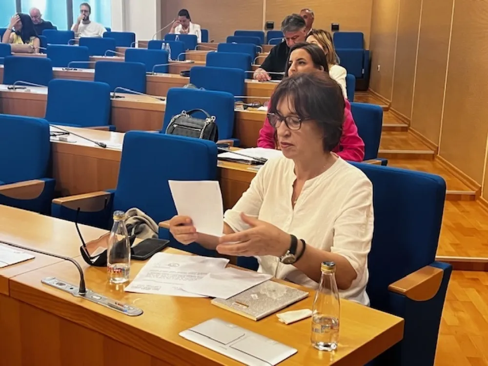 Ranka Otasević na sjednici odbora 