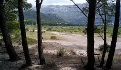 Spičansko polje