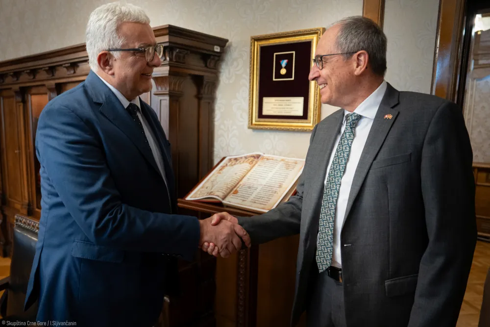 Mandić primio u opro&scaron;tajnu posjetu ambasadora &Scaron;vajcarske