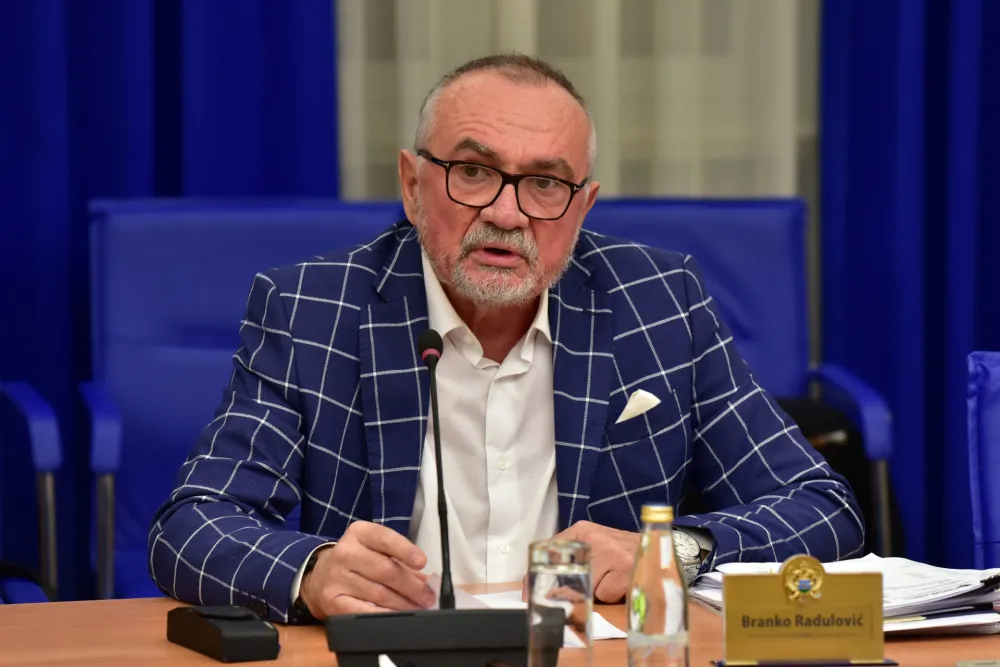 Radulović: SDT hitno da preispita poslovni kredibilitet zakupca Željezare Nik&scaron;ić