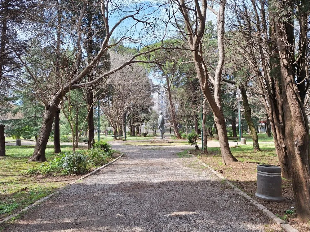 Karađorđe park 