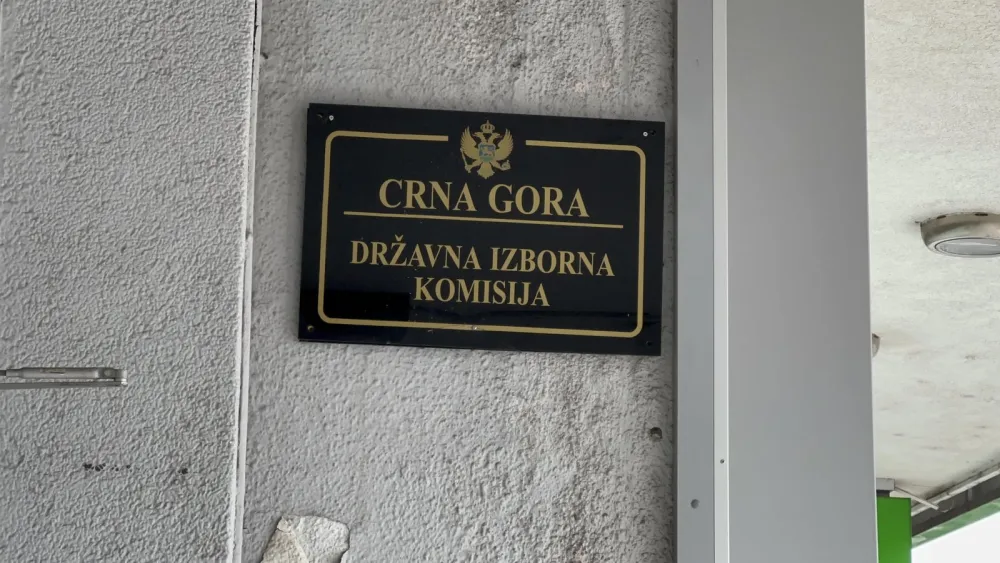 DIK potvrdila mandate Draganu Bojoviću i Jeleni Kljajević