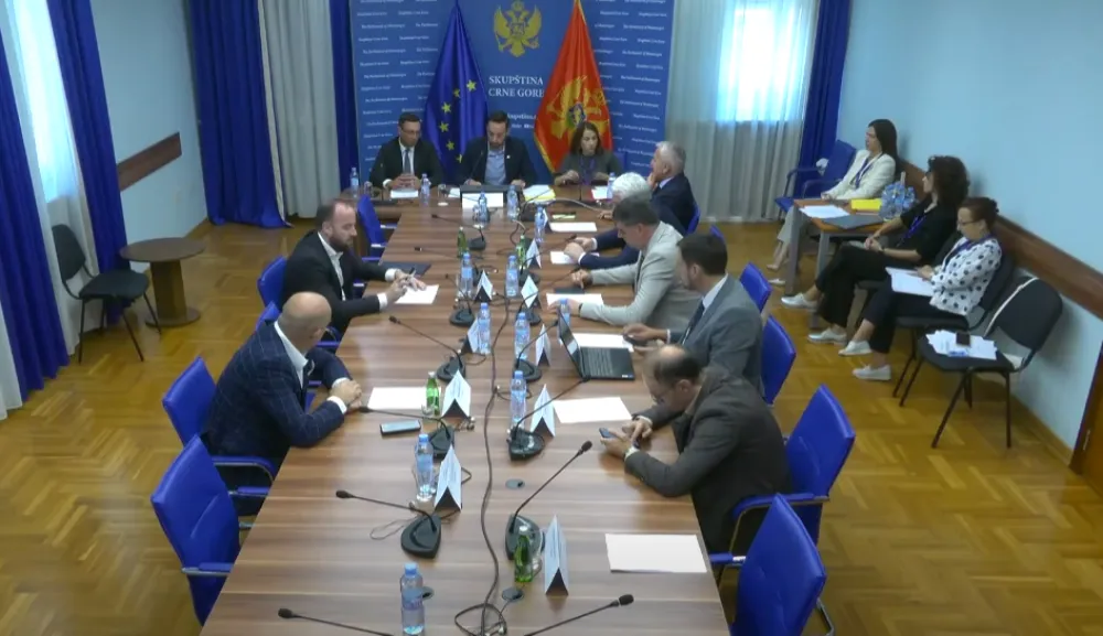 (VIDEO) Odbor jednoglasno podržao izmjene Zakona o crnogorskom državljanstvu