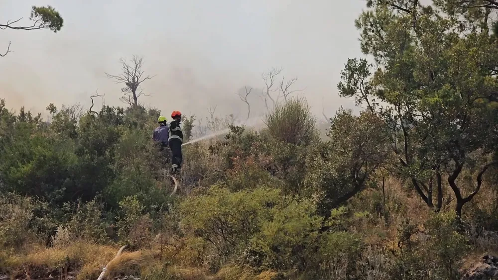 (FOTO) Pro&scaron;io se požar kod Sutomora: Gori strana prema Domu Crvenog krsta