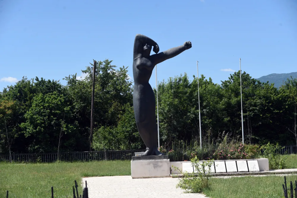 Danilovgrad - institucije