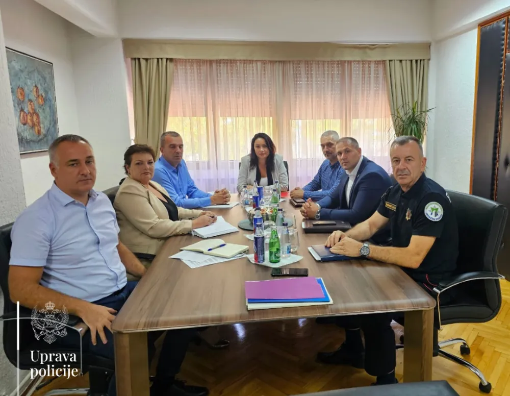Direktor Uprave policije i v.d. direktorice Uprave carina o unapređenju saradnje