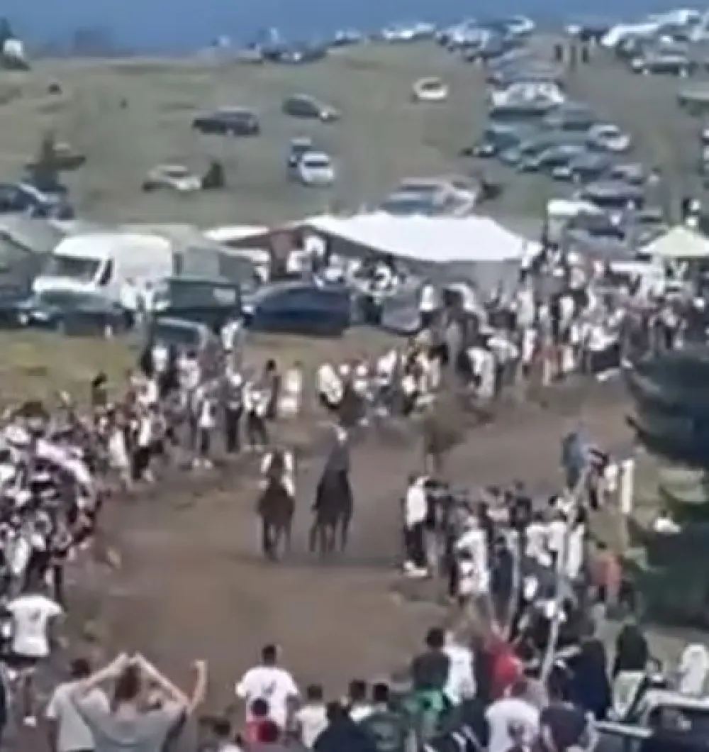 Konj povrijedio učesnike va&scaron;ara