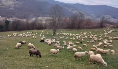 Stanovnici bjelopoljske op&scaron;tine ove godine u velikom problemu: Za četiri kubika pitke vode treba da plate 220 eura
