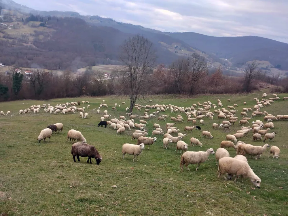 Stanovnici bjelopoljske op&scaron;tine ove godine u velikom problemu: Za četiri kubika pitke vode treba da plate 220 eura