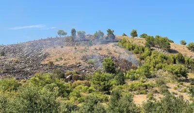 (FOTO/VIDEO) Veliki požar na Dajbabskoj gori, vatru gase i avioni