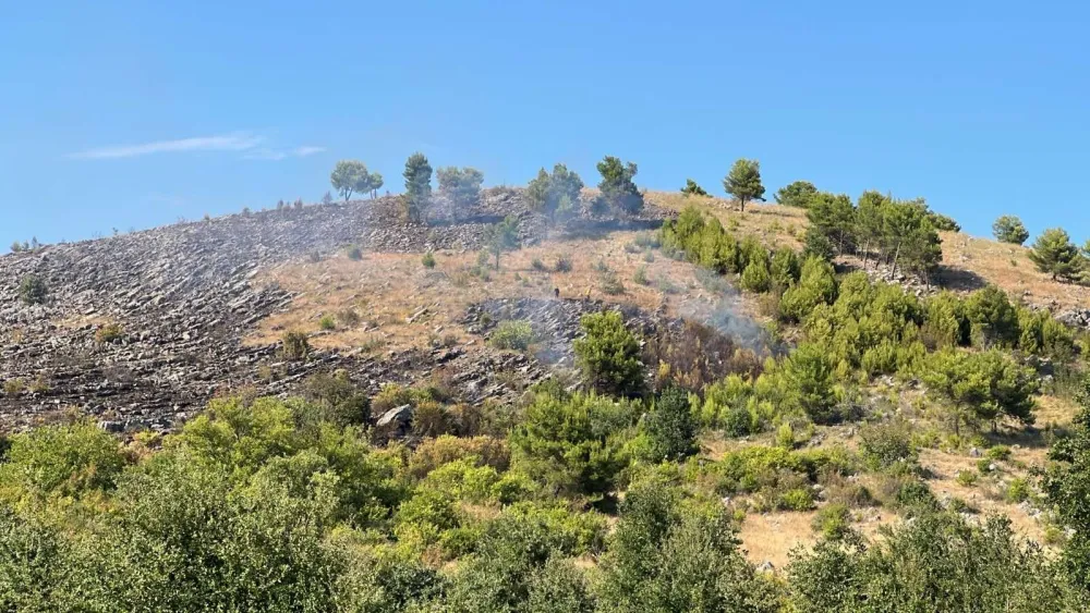 (FOTO/VIDEO) Veliki požar na Dajbabskoj gori, vatru gase i avioni