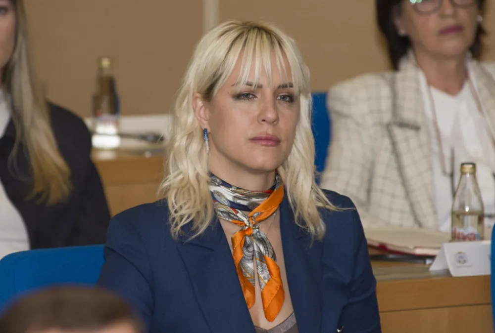 Ljiljanić: Spajićev ujak nudio je mojim kolegama funkcije