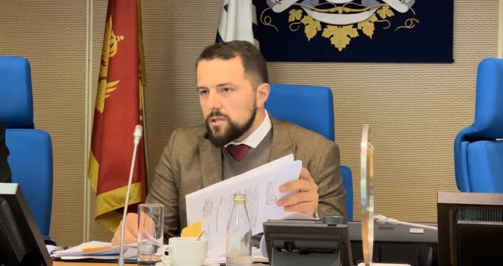 &Scaron;u&scaron;ić za "Dan": Snage ćemo odmјeriti svakako, a јači smo zaјedno