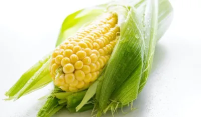 Lako se sprema, a uprkos zabludama &ndash; ne goji