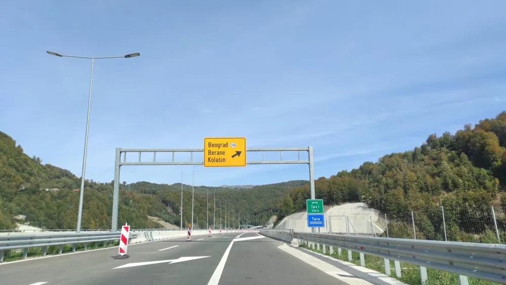 Auto-putem vozili 196 i 204 na sat