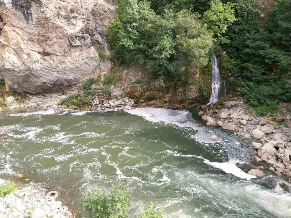 Ekolo&scaron;ki incident na Limu