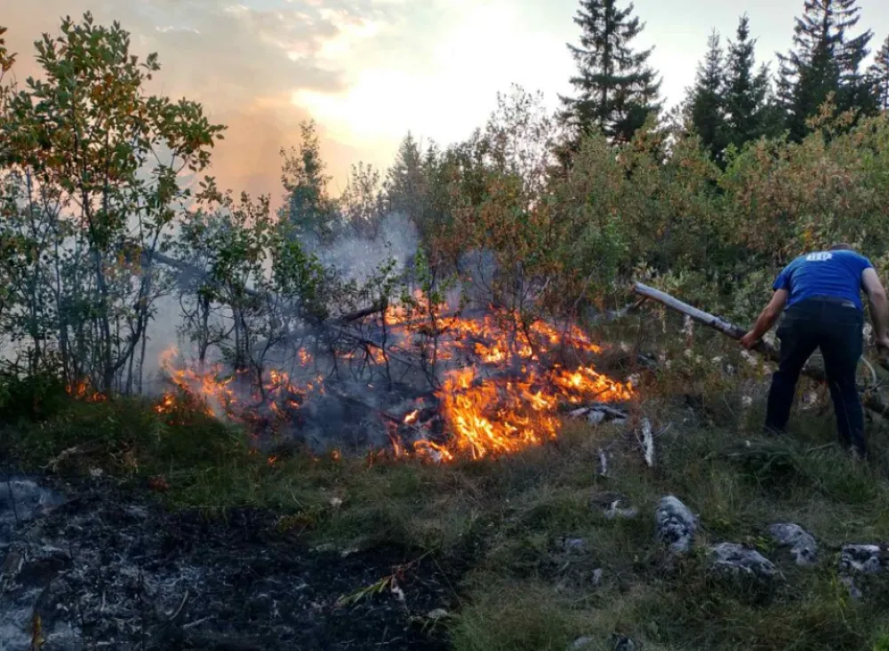 Ugrožene &scaron;ume: Ponovo gori na Pro&scaron;ćenskim planinama
