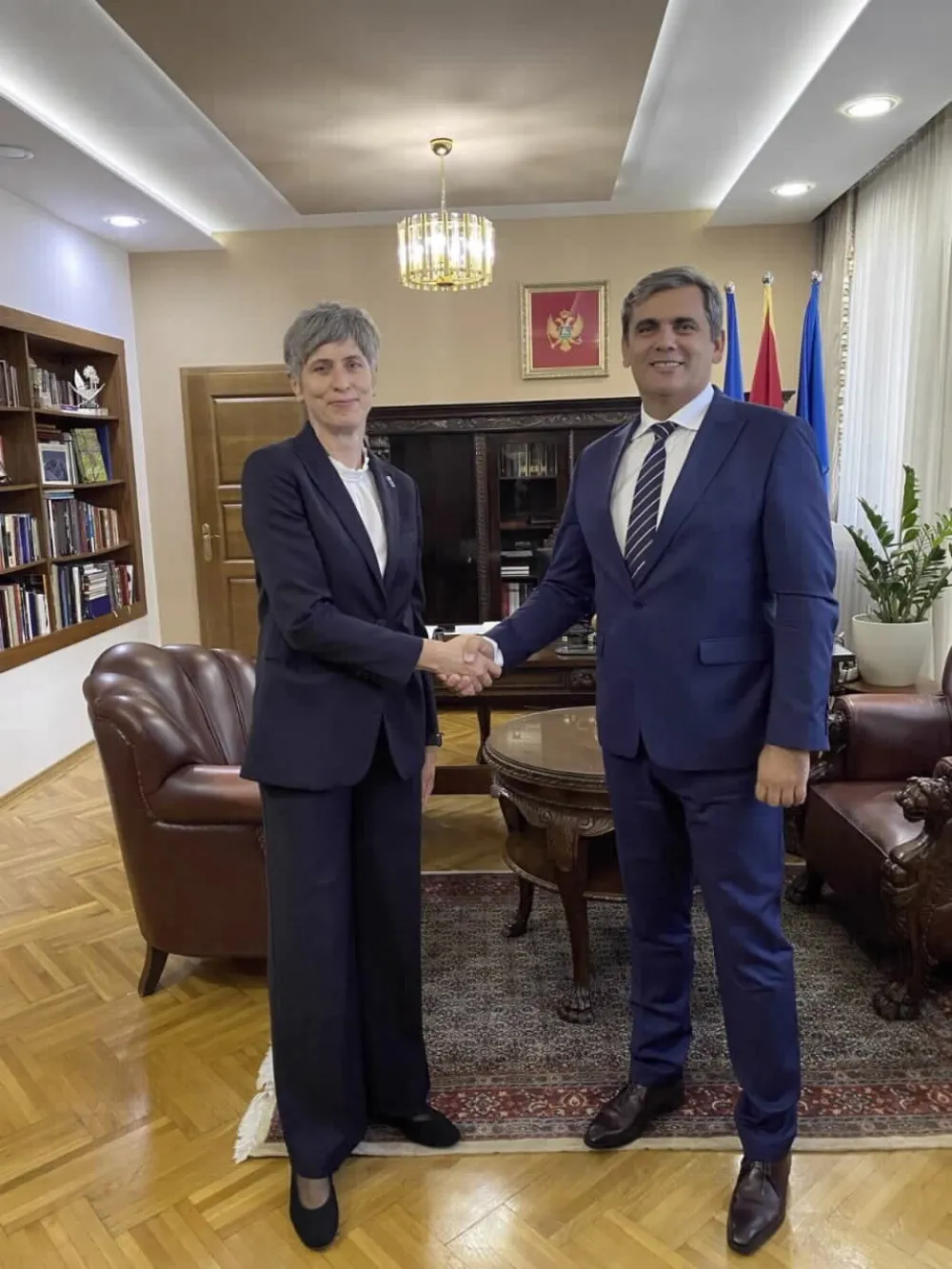 Ibrahimović-Paniklova: UNDP važan partner u sprovođenju razvojne agende