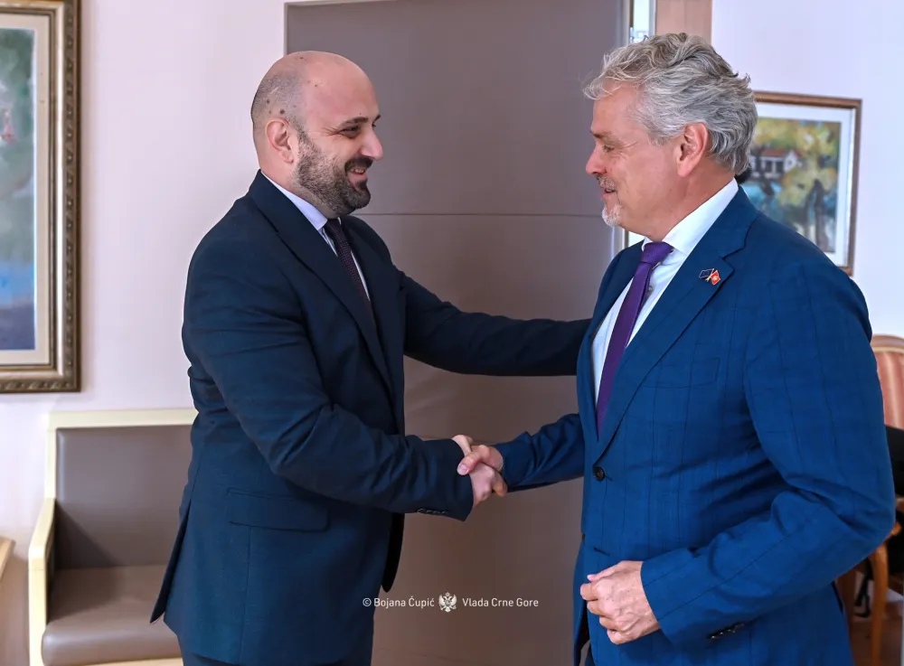 Božović - Satler: Zajedničkim snagama ubrzati reforme i integraciju Crne Gore u EU