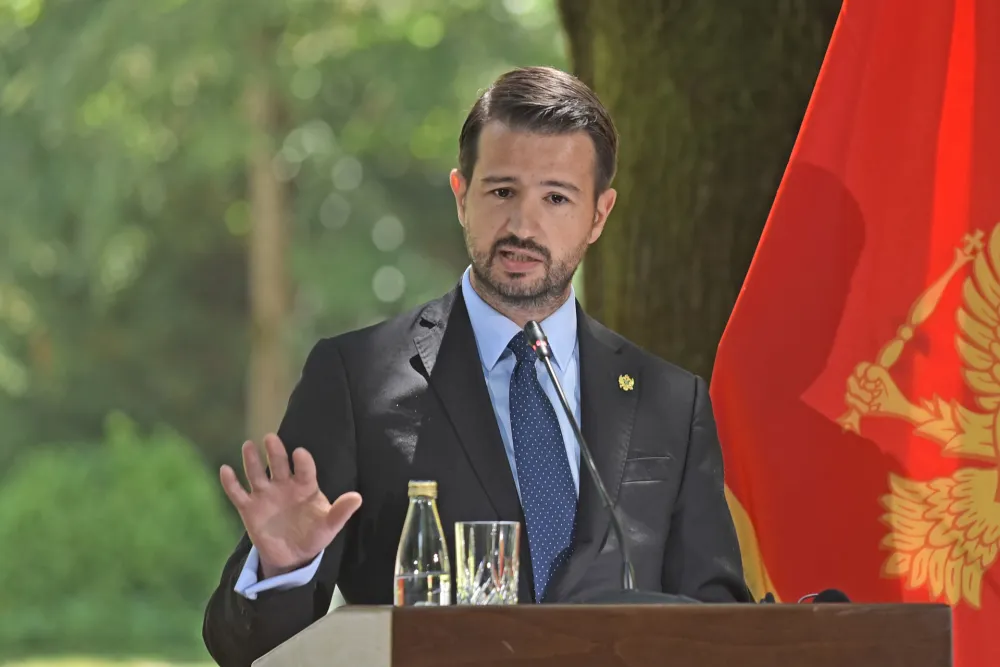 Milatović: Niko ne priča o oduzimanju nelegalne imovine kriminalcima