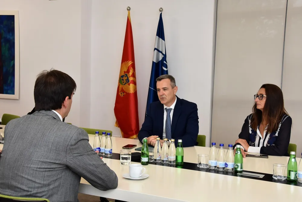 UCG i Ministarstvo dijaspore: Jačanje veza sa naučnom dijasporom u cilju podr&scaron;ke razvoju Crne Gore